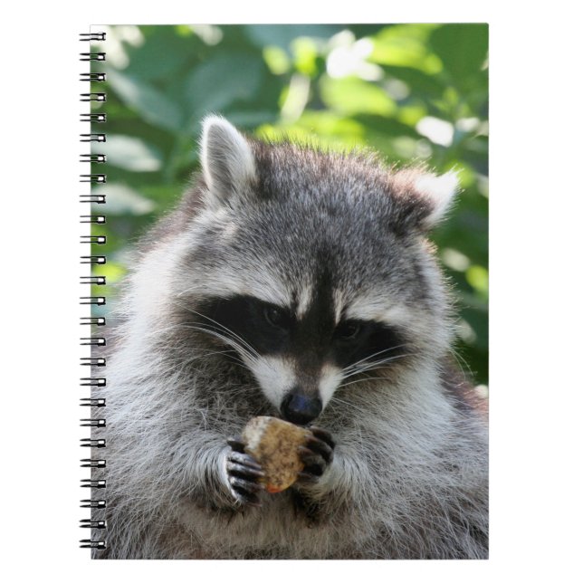 Cuaderno Raccoon 004 (Frente)