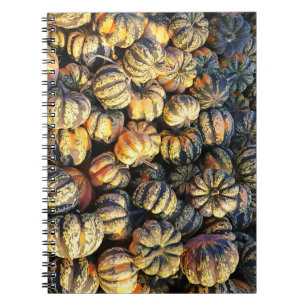 Cuaderno Racimo de calabazas rayadas