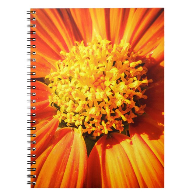 Cuaderno Radiant Orange Flower Macro Notebook Nature Photo (Frente)