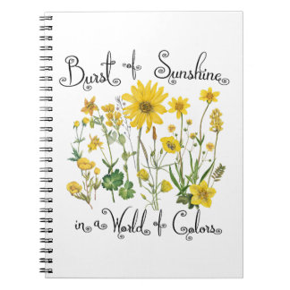 Cuaderno Ráfaga de sol en un mundo de colores