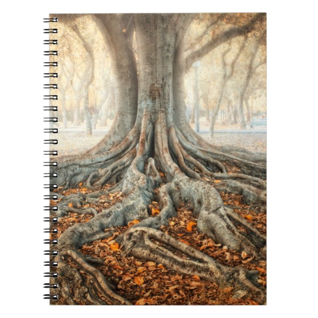 Cuaderno Raíces de árboles antiguos (Frente)