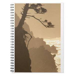 Cuaderno Raíces profundas