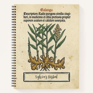 Cuaderno Raíz de Galanga: La Receta Medieval del Boticario