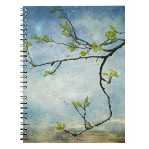 Cuaderno Rama de árbol sobre el cielo texturizado