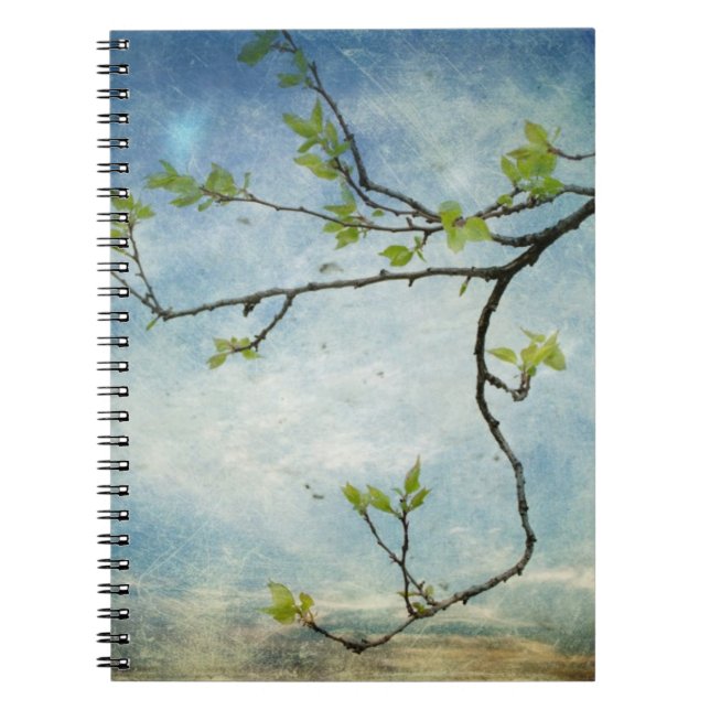 Cuaderno Rama de árbol sobre el cielo texturizado (Frente)