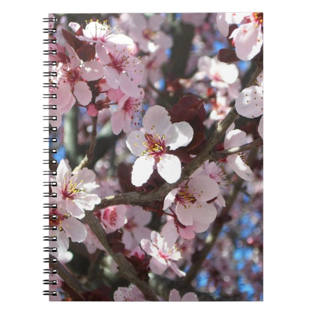 Cuaderno Rama de flores primaverales de flores rosadas (Frente)