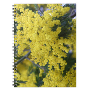 Cuaderno Rama de mimosa