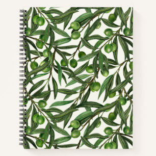 Cuaderno Ramas de olivo sobre blanco apagado
