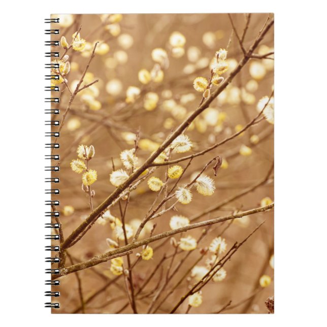 Cuaderno Ramas de sauce en flor en primavera, estacional v (Frente)