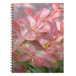 Cuaderno Ramas rosadas de bonito