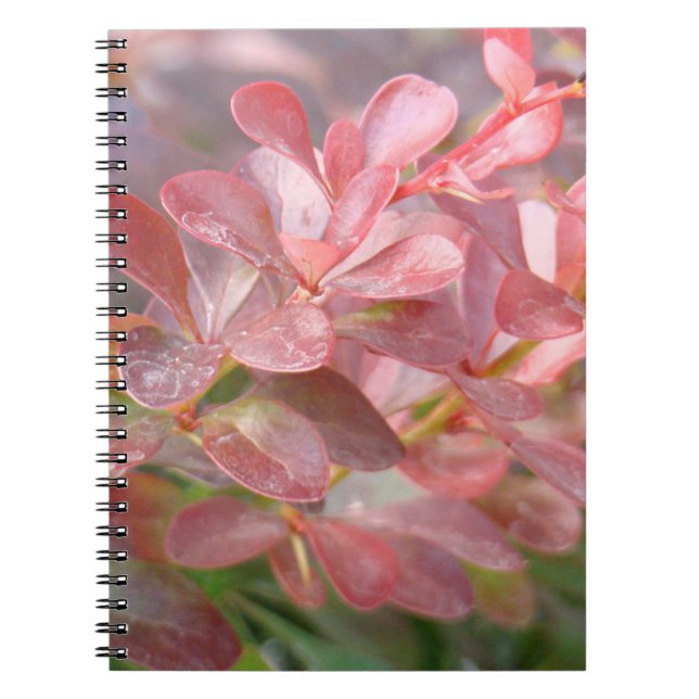 Cuaderno Ramas rosadas de bonito (Frente)