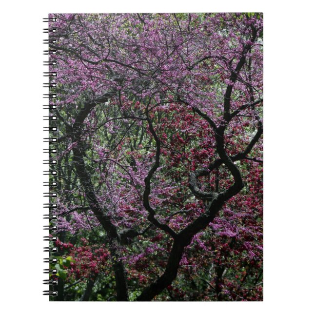 Cuaderno Ramas y flores (Frente)