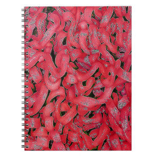 Cuaderno Ramen Rojo