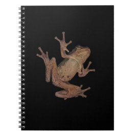 Cuaderno rana