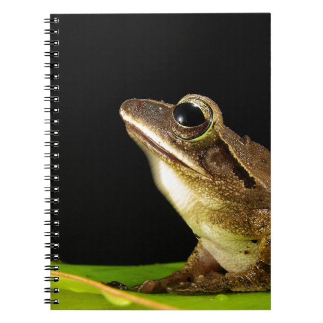 Cuaderno Rana común en una hoja (Frente)