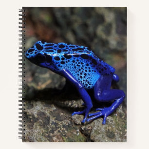 Cuaderno Rana Dart de veneno azul, Rana azul brillante