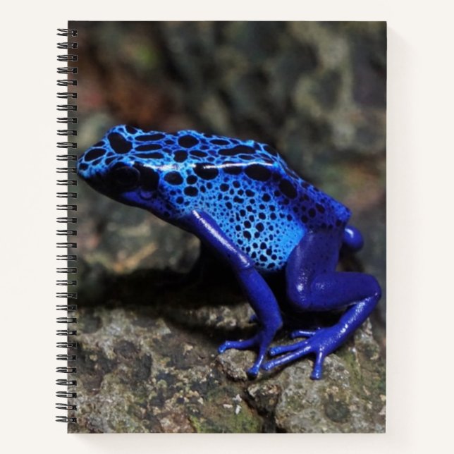 Cuaderno Rana Dart de veneno azul, Rana azul brillante (Anverso)