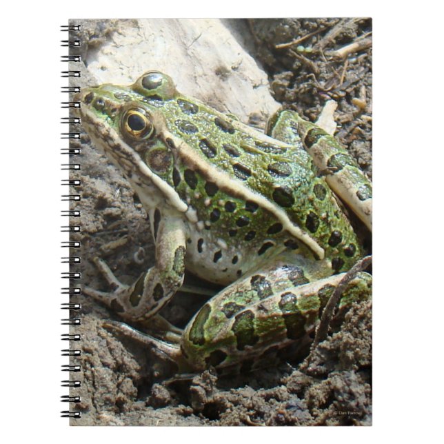 Cuaderno Rana de leopardo R3 (Frente)