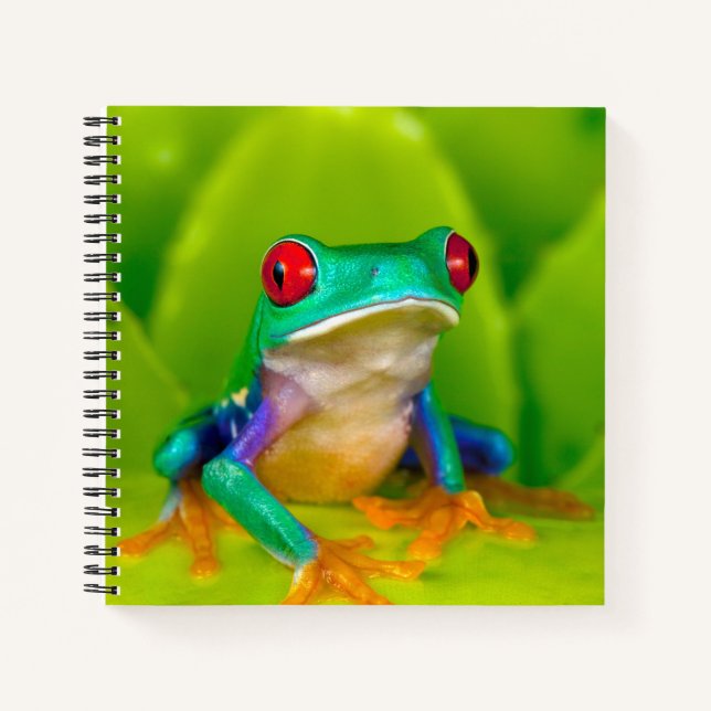 Cuaderno Rana de ojos rojos, Costa Rica (Anverso)