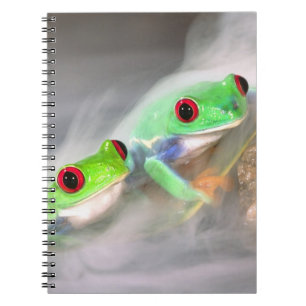 Cuaderno Rana de ojos rojos en la niebla, Agalychinis 2