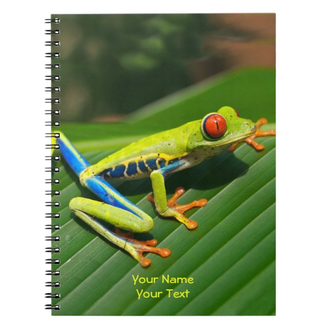 Cuaderno Rana de ojos rojos y selva tropical personalizada (Frente)
