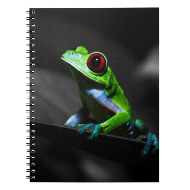 Cuaderno Rana III de árbol de ojos rojos (Frente)