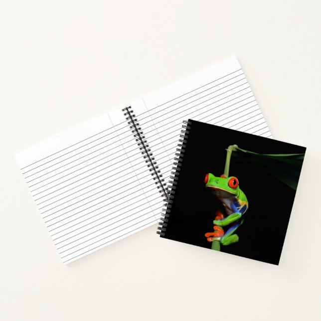 Cuaderno Rana Pintada de Ojos Rojos (Interior)