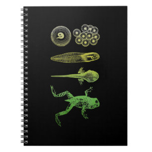 Cuaderno Rana Tadpole Metamorfosis Biología del ciclo de v