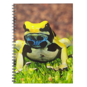 Cuaderno Rana venenosa de Dyeing, Dendrobates tinctorius,