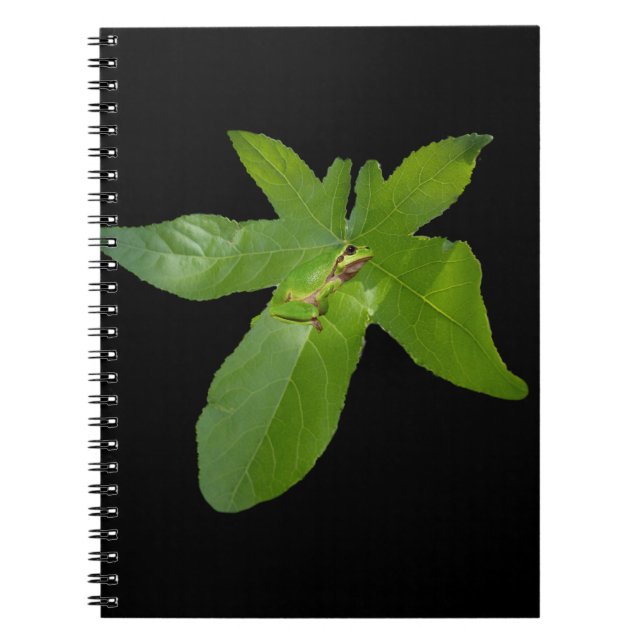 Cuaderno Rana verde de hoja de uva, bloc de notas (Frente)