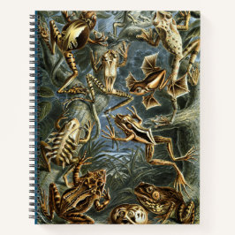 Cuaderno Rana y sapo Ernst Haeckel
