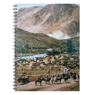 Cuaderno Rancho de ganado, Colorado, 1899 (foto)