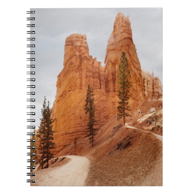 Cuaderno Rastro del lazo de Navajo, barranco de Bryce (Frente)