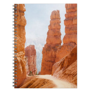 Cuaderno Rastro del parque nacional del barranco de Bryce