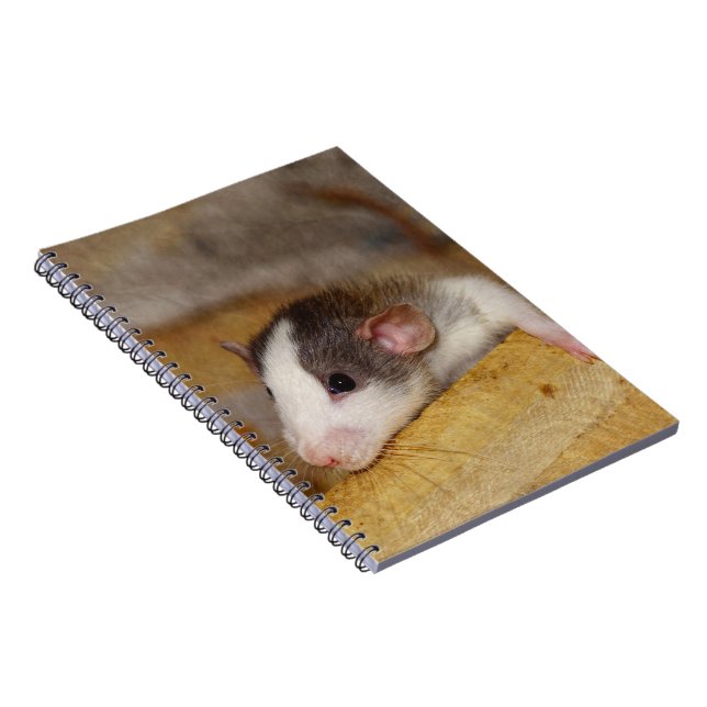Cuaderno Rata Cuta (Lado Derecho)