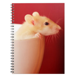 Cuaderno Rata del bebé