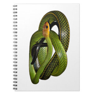Cuaderno Ratsnake Negro-dejado un margen o serpiente de