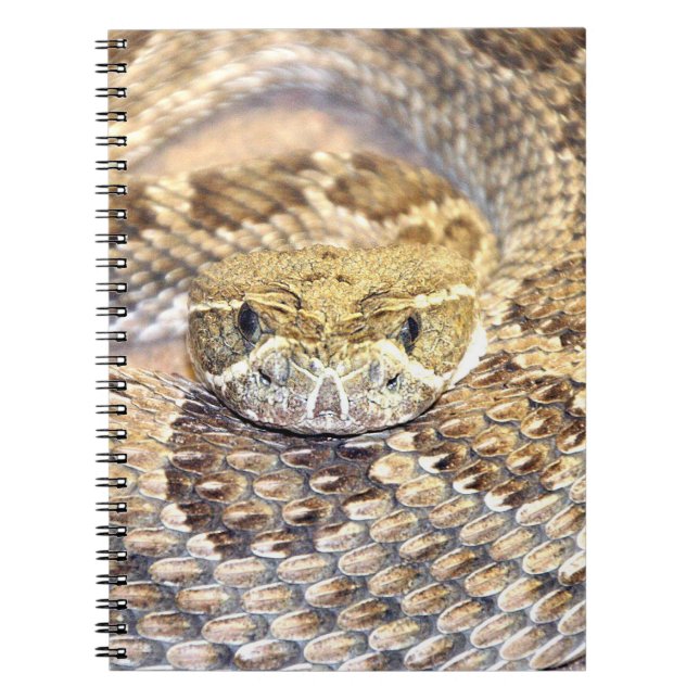 Cuaderno Rattlesnake (Frente)