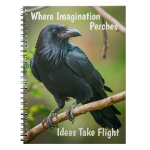 Cuaderno Raven en una rama de árbol