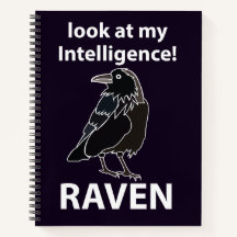 Raven Mira Mi Raven De Inteligencia