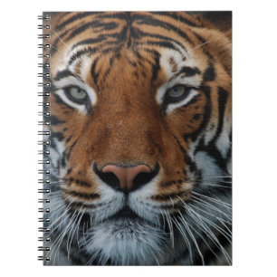 Cuaderno Rayas de gato tigre Niebla de la selva Animal