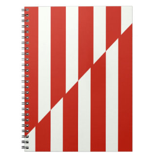 Cuaderno Rayas interrumpidas rojas