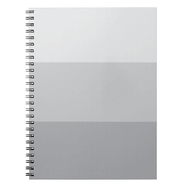 Cuaderno Rayo gris plateado (Frente)