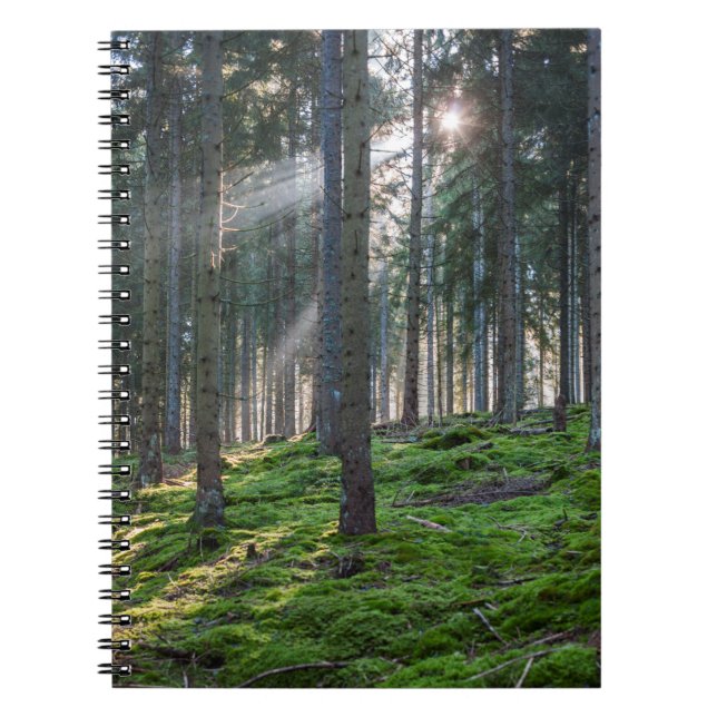 Cuaderno Rayos de sol en la Selva Negra (Frente)