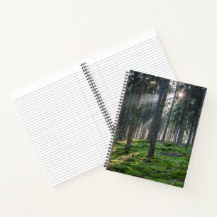 Cuaderno Rayos de sol en la Selva Negra