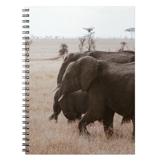 CUADERNO RAZA DE ELEFANTES (Frente)