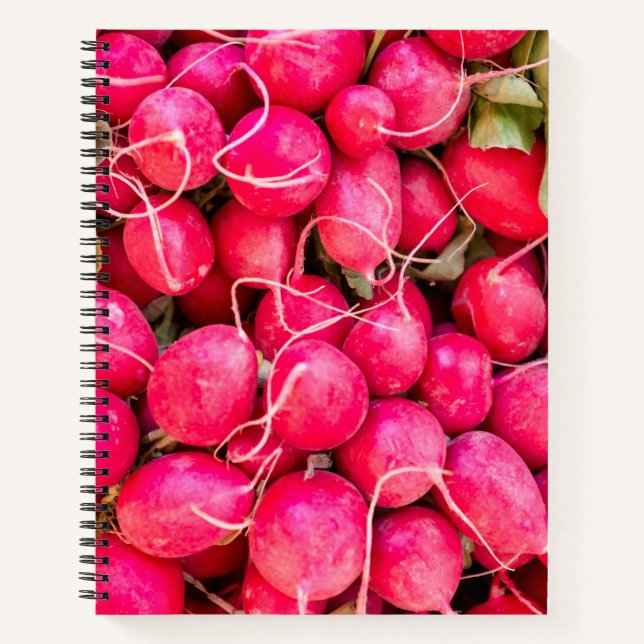 Cuaderno Razal europeo (Anverso)