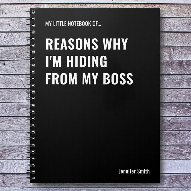 Cuaderno Razones por las que estoy ocultando una cita diver (Subido por el creador)