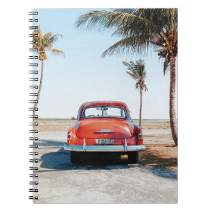 Cuaderno Re escarabajo junto a los cocoteros