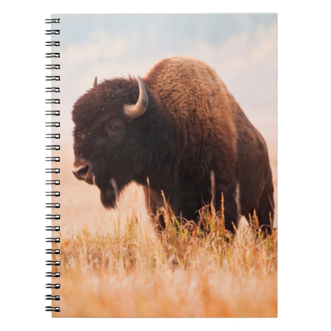 Cuaderno Rebaño Americano De Bison Bison (Bison Bison) En T (Frente)